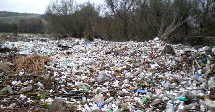 في اليوم العالمى للبيئة.. تأثير المواد البلاستيكية فى الأطعمة على الصحة