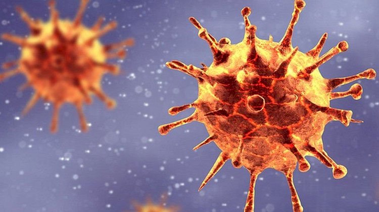 استشاري يكشف عن انتشار فيروس بسبب عدم استقرار المناخ