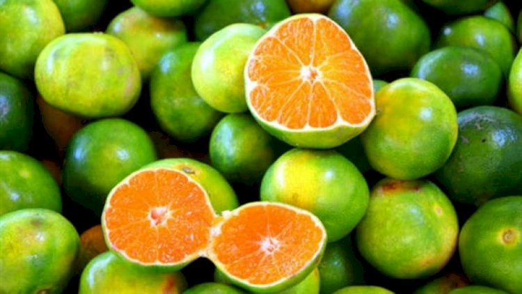 دعم صحة القلب.. فوائد البرتقال الأخضر