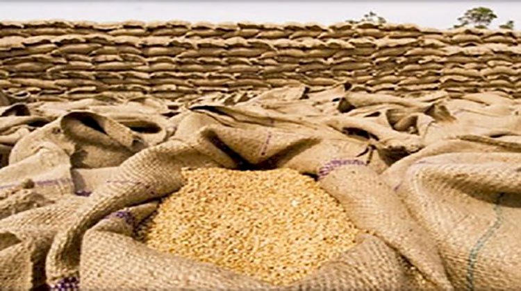 الزراعة: 1600 جنية لأدرب القمح سعرا استرشاديا والدولة تشترى بالأسعار العالية