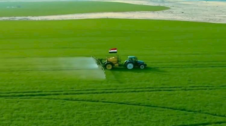 برلمانية: مشروع مستقبل مصر للزراعة المستدامة يساهم في تحقيق الاكتفاء الذاتي