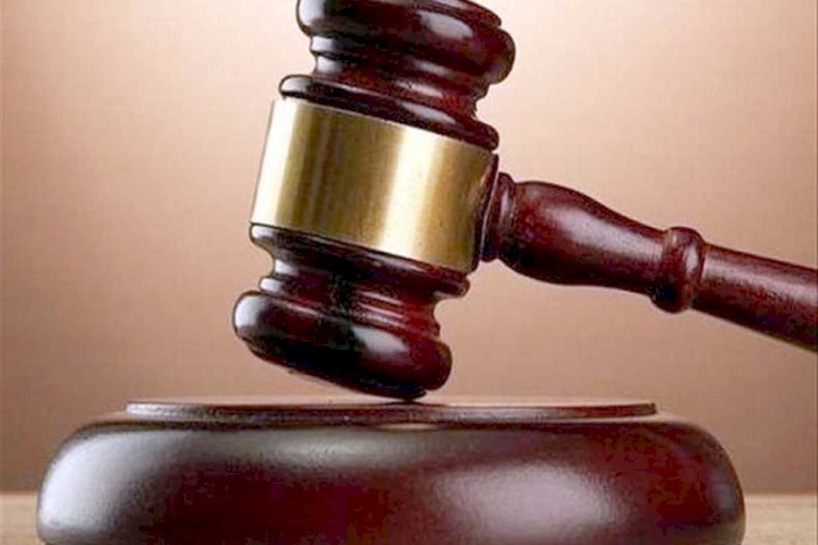 الحكم بالسجن 3 سنوات لـ 2 متهمين لحيازة الحشيش في الجيزة