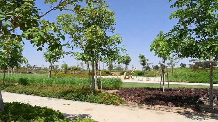 وزير الإسكان: زرعنا 46 ألف شجرة ونخلة مثمرة وغير مثمرة بمشروع الحدائق المركزية "كابيتال بارك" بالعاصمة