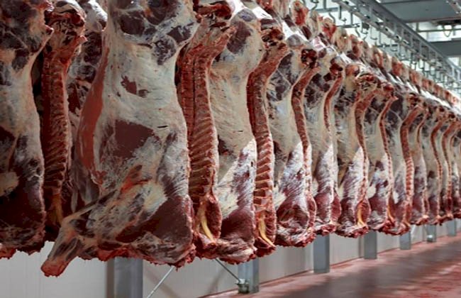 أسعار اللحوم الحمراء في مصر اليوم الثلاثاء