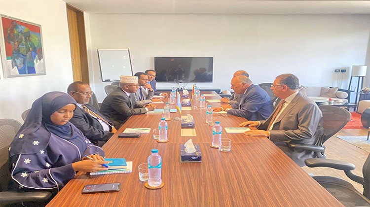 وزير الخارجية يستقبل وزير خارجية الصومال
