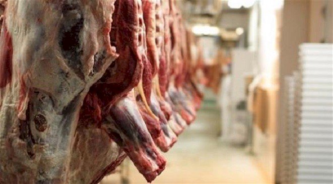 أسعار اللحوم الحمراء في مصر اليوم الثلاثاء