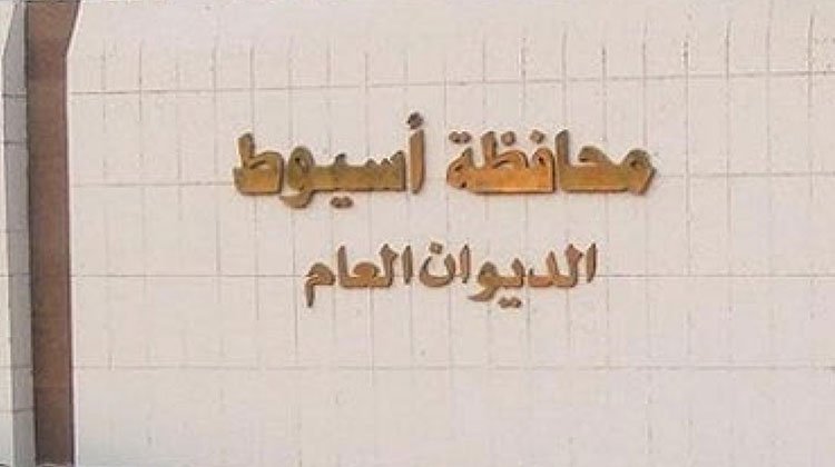 مصدر حكومي: اللواء هشام أبو النصر محافظاً لأسيوط وأيمن إبراهيم عطية للقليوبية