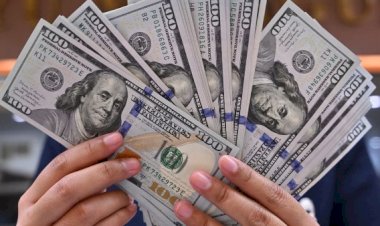 أسعار الدولار في مصر اليوم الاربعاء