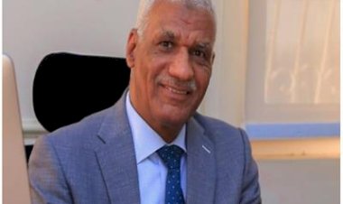 برلماني: أول محطة كهرباء هجينة PV-CSP نقلة نوعية تعزز أمن الطاقة وتفتح آفاق الاستثمار الأخضر