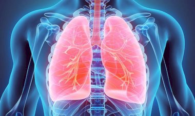 حسام موافي يحدد أسباب السدة الرئوية وطرق الوقاية منها