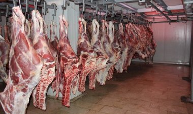 أسعار اللحوم في مصر اليوم السبت