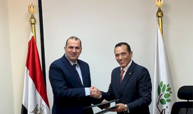 شركة تنمية الريف المصري تطلق مشروعاً ضخماً لتوصيل الكهرباء إلى أراضيها على مساحة مليون فدان بسهل المنيا الغربي