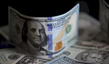 أسعار الدولار في مصر اليوم الاربعاء