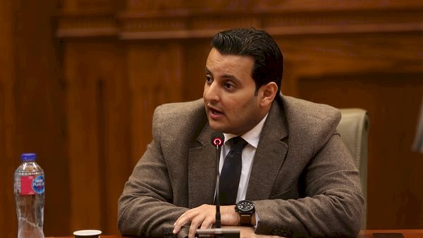 برلماني: بيان وزارات الخارجية يؤكد الموقف الموحد الرافض للتهجير