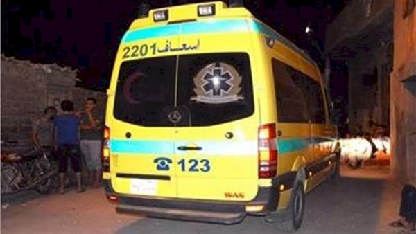 إصابة شقيقين فى حادث بقنا