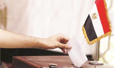 ننشر النتيجة الرسمية لدوائر محافظة سوهاج بانتخابات مجلس النواب