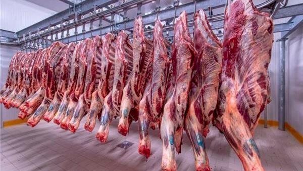 أسعار اللحوم في مصر اليوم الإثنين