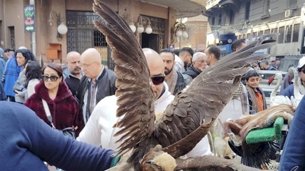 البيئة تشن حملة تفتيشية مكبرة وتضبط طيور وحيوانات برية محظور تداولها بسوق ديانا بالأزبكية