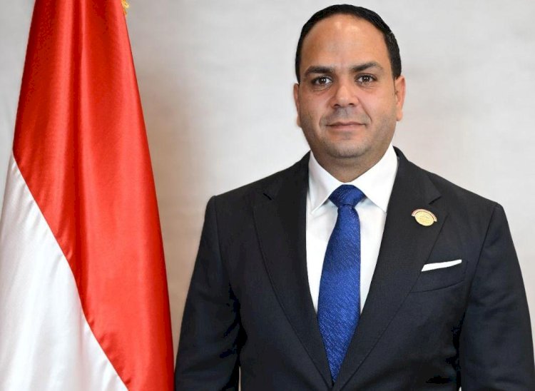 برلماني: رسائل الرئيس بدافوس تفتح آفاقا للتعاون مع كبرى المؤسسات الدولية