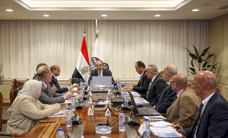 وزير قطاع الأعمال يتابع الموقف التنفيذي لمشروع إنتاج حبيبات وأقراص الكلور بشركة مصر لصناعة الكيماويات