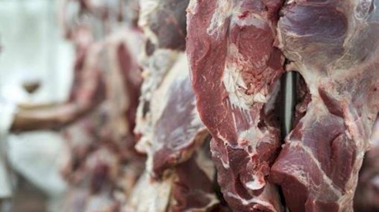 أسعار اللحوم في مصر اليوم السبت