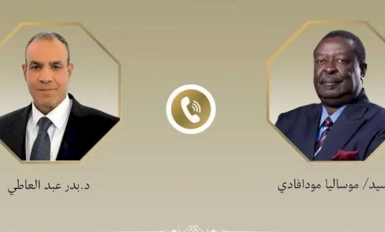 اتصال هاتفي بين وزير الخارجية ونظيره الكيني