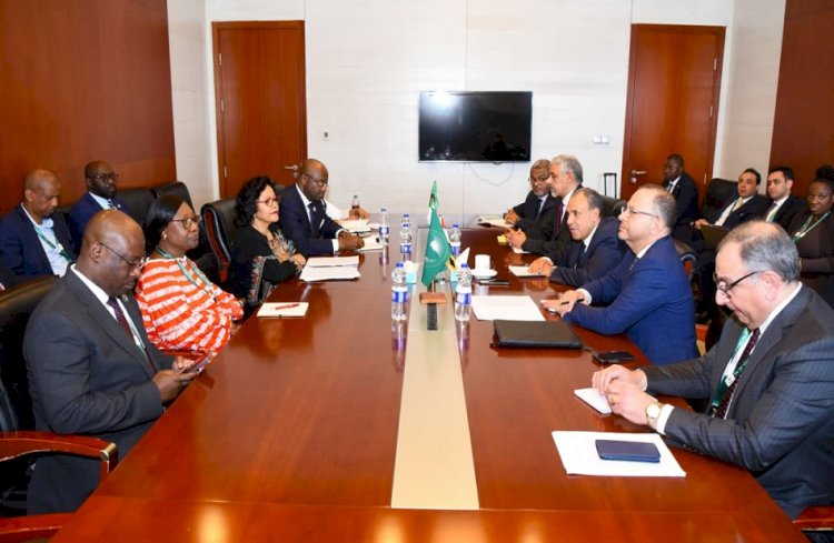وزير الخارجية يلتقي رؤساء بنك التصدير والاستيراد الأفريقي وبنك التنمية الأفريقي والمديرة التنفيذية للنيباد