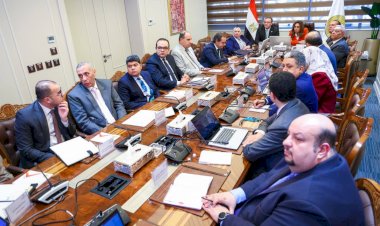 وزيرة التنمية المحلية ورئيس الجهاز المركزي للتنظيم والإدارة يوافقان على الهيكل التنظيمي المحدث للوزارة