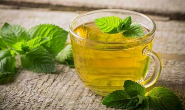 يعالج متلازمة القولون العصبي ومشاكل التنفس.. اكتشف فوائد النعناع الصحية