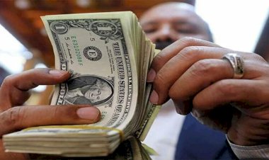 أسعار الدولار في مصر اليوم الاربعاء