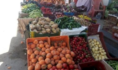 سعر الخضار والفاكهة اليوم الخميس في مصر