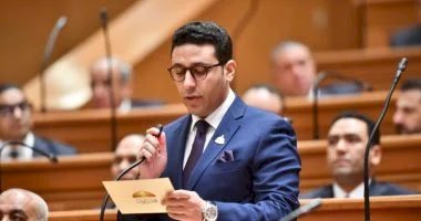 برلمانى: الالتفاف خلف القيادة يعزز دور مصر المحورى فى إدارة الأزمات الإقليمية