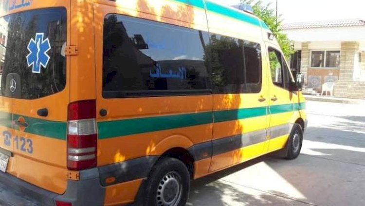 دهس وهرب وترك سيارته.. مصرع موظف بالمعاش في حادث طريق بالمنوفية