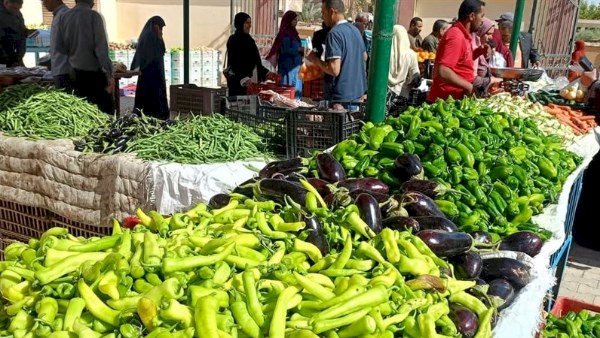 أسعار الخضار والفاكهة في مصر اليوم الجمعة