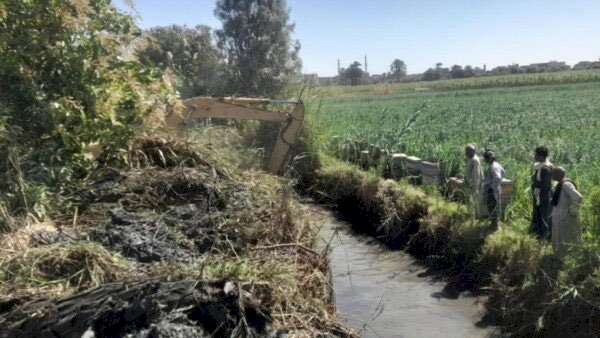 زراعة الأقصر تطلق مشروع مسقى "الريقية" لتحسين منظومة الرى