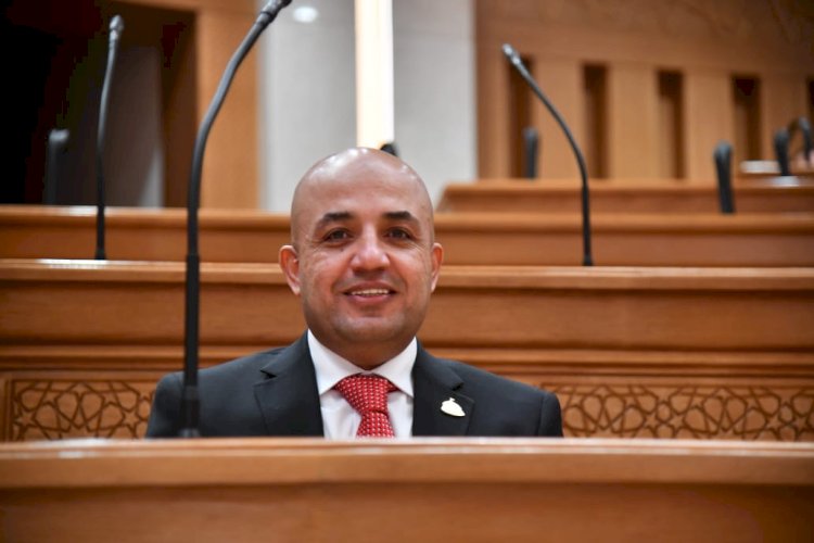برلماني: الدبلوماسية المصرية حصن للدولة وصوت قوي لمصالحها في العالم