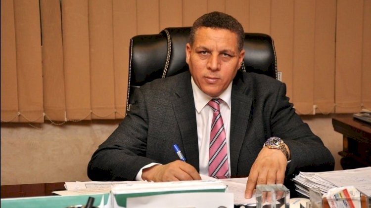برلماني: لقاء وزير الصناعة مع الغرفة الفرنسية يعزز جذب الاستثمارات ويفتح آفاقا جديدة