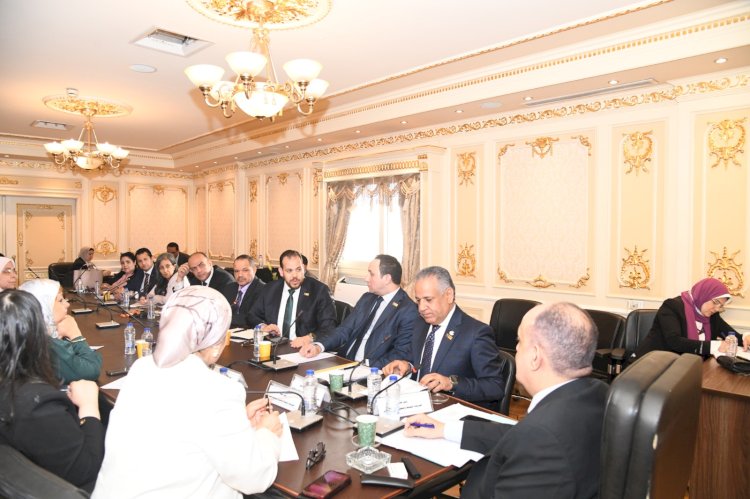 لجنة المشروعات الصغيرة بالبرلمان تستضيف "رجال الأعمال المصريين الأفارقة"