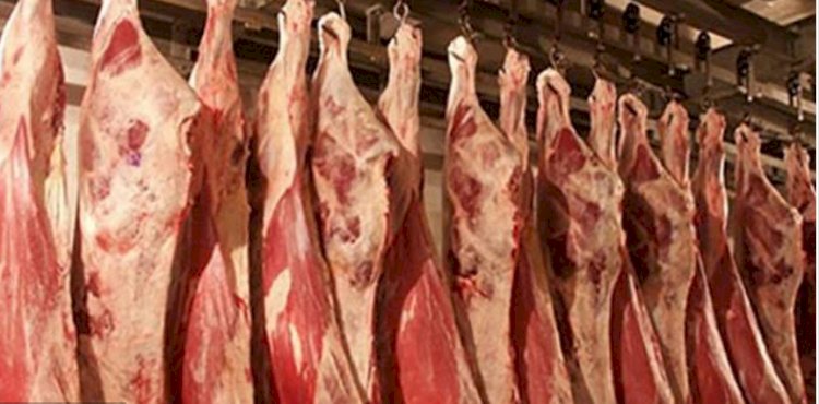 أسعار اللحوم في مصر اليوم الإثنين 