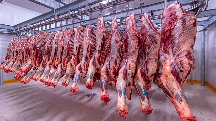 أسعار اللحوم في مصر اليوم الإثنين