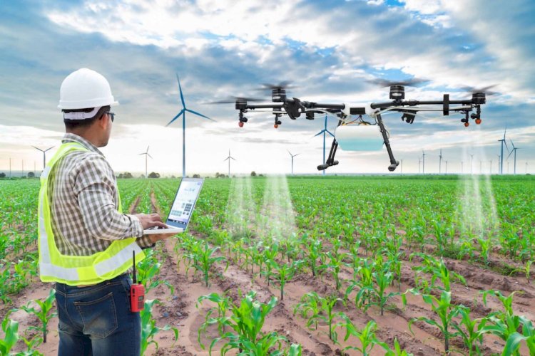 برلماني يؤكد أهمية استخدام التقنيات الزراعية المتقدمة لزيادة إنتاجية الأراضي