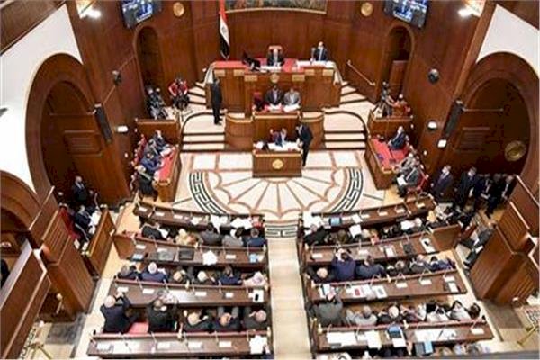 برلمانية: دعم مصر دعوى جنوب أفريقيا ضد إسرائيل يعكس تأييدها الكامل للقضية الفلسطينية