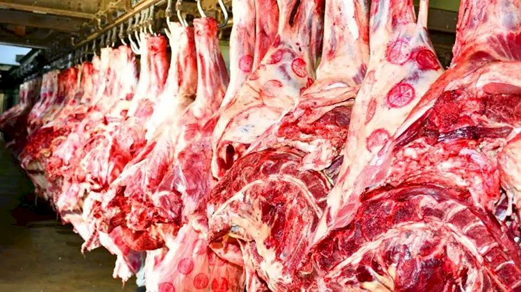 الزراعة تعلن ضخ كميات إضافية من اللحوم بمنافذ الوزارة