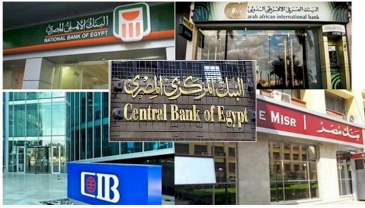 البنك المركزى: تعطيل العمل بالبنوك العاملة في مصر يوم الاحد 30 يونيو