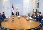 الرئيس السيسي يجتمع مع رئيس الوزراء ووزير الكهرباء