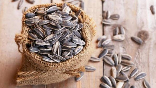 ماذا يحدث للجسم عند تناول لب عباد الشمس