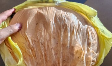 فى حملة تمونية ضبط مبيدات زراعية وجبنة وسلع منتهية الصلاحية بكفرالشيخ 