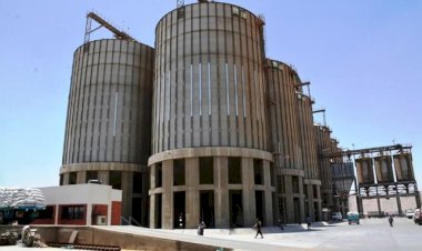 سوهاج تتخطى المستهدف السنوي لتوريد القمح وصرف مستحقات المزارعين وانتظام عمليات التوريد 