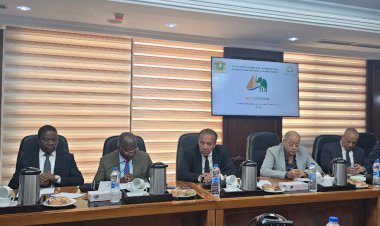 برئاسة الجبلي ...لجنة التعاون الإفريقي تستقبل وزير خارجية كوت ديفوار لمتابعة نتائج الزيارة التي قامت بها اللجنة مايو الماضي 