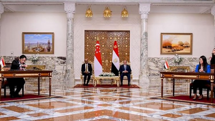 المشاط: مصر حريصة على تقوية العلاقات التجارية والاستثمارية والاقتصادية وتبادل الخبرات مع  سنغافورة
